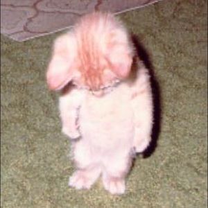 Meet your Posher, Jayme